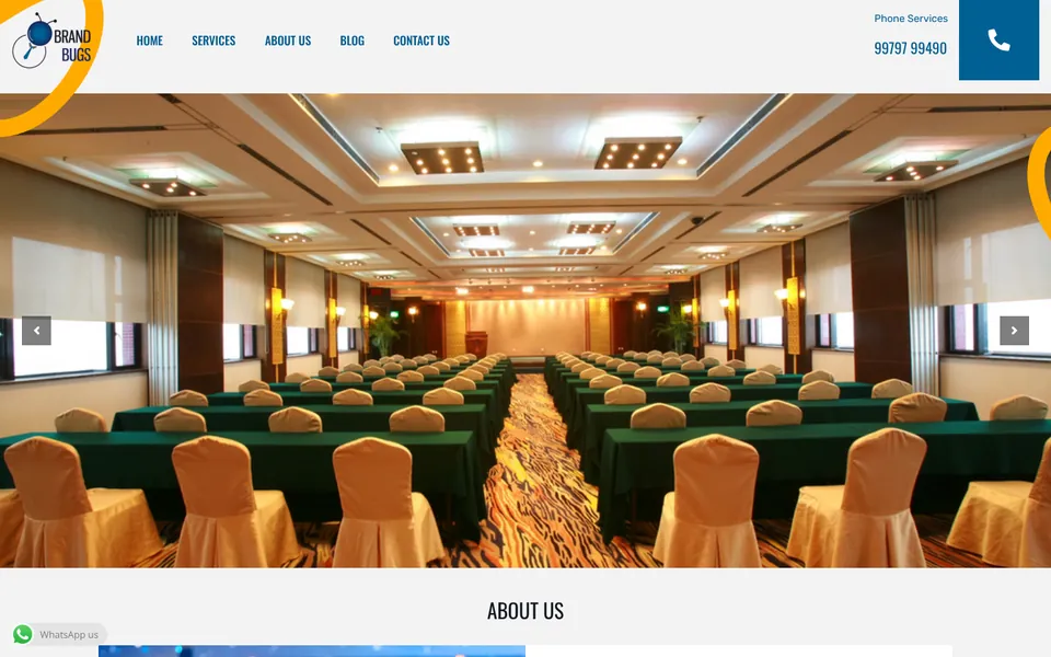 Brand Bugs website homepage